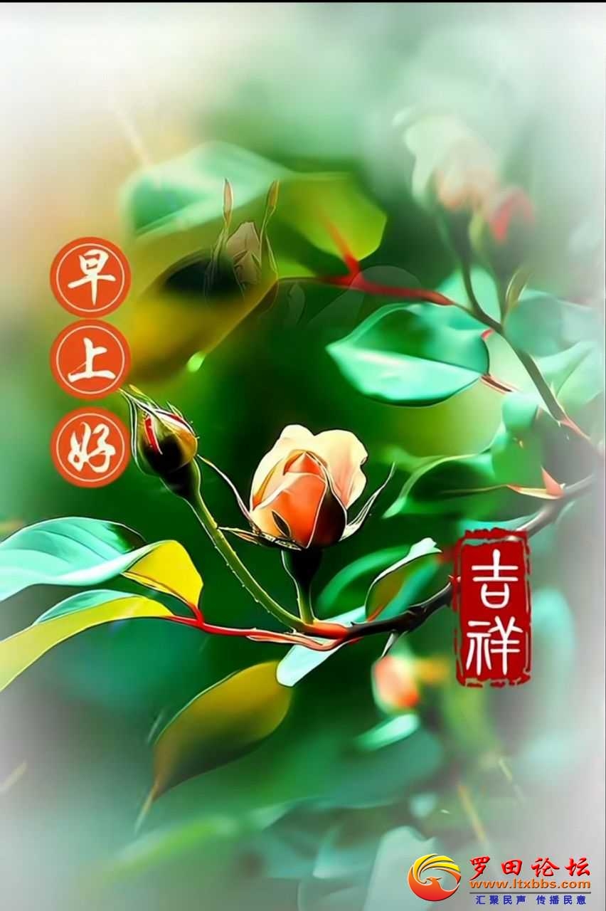 1dd56d1694e01e0505b8fb823c6634c1_064648oufkj7fcnzf0fkke.jpg