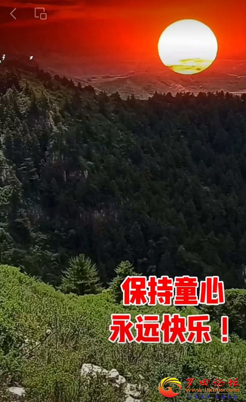 20240601111739front2_0_988_FiaiO_yHJeGFY6Lah0kj2QnYq4cN.jpg