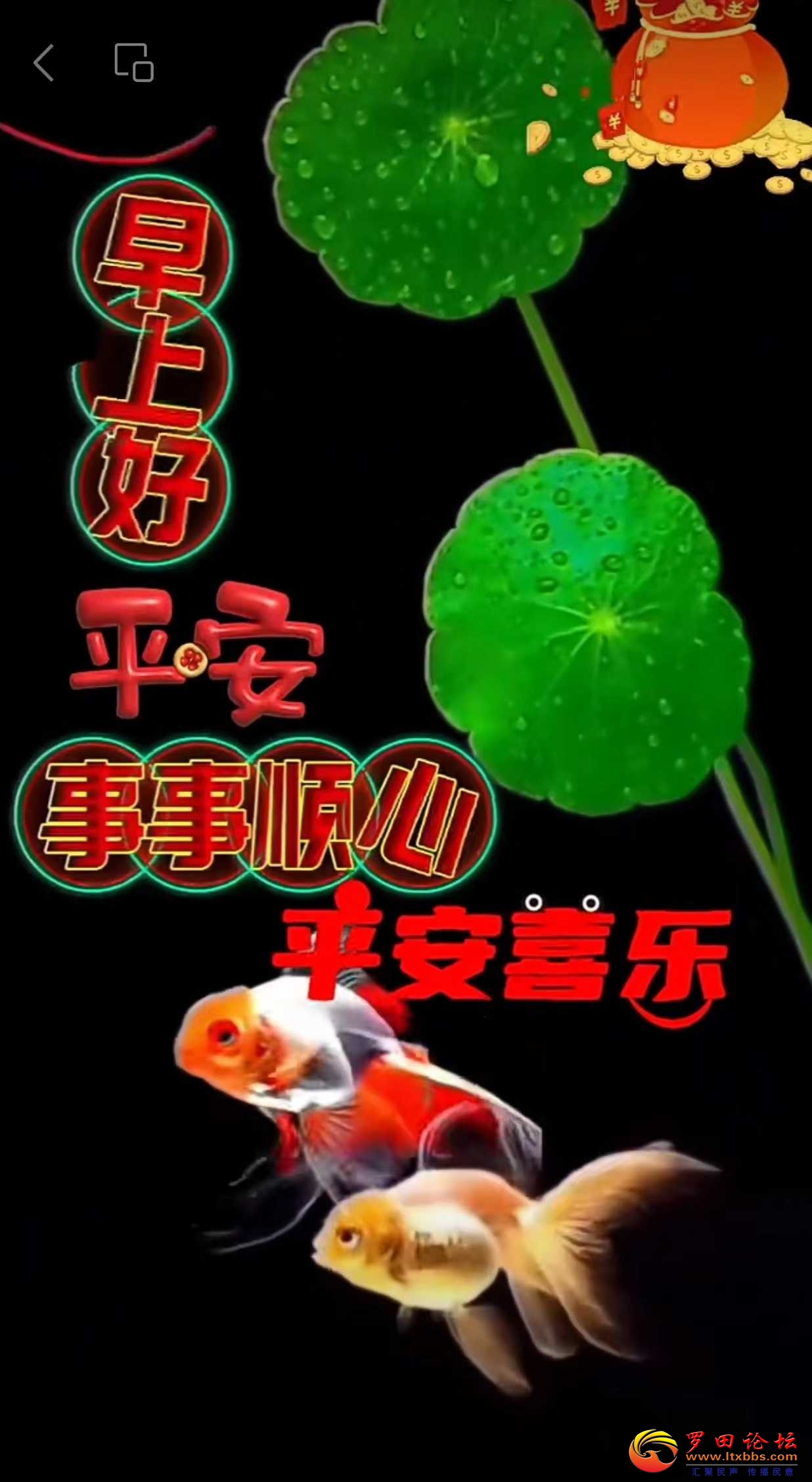 ΢ͼƬ_20240605095258.jpg