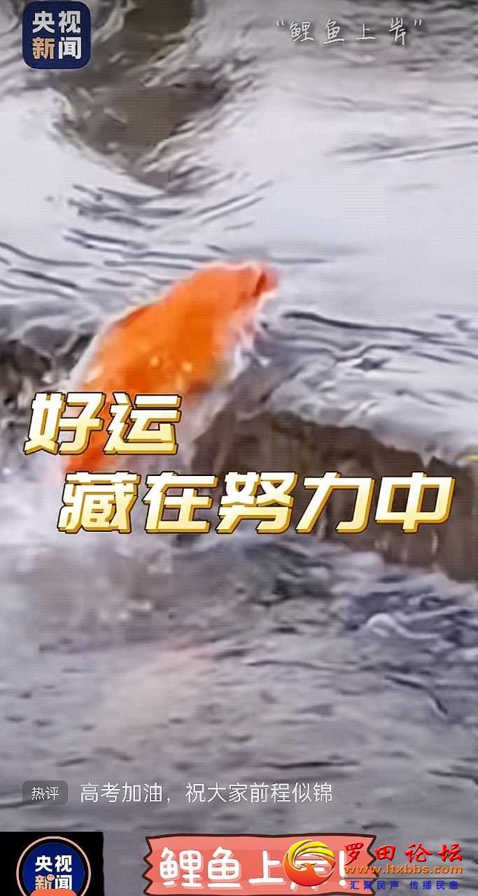 7f545b357d78964e432e2e22987d0d3a_221440tr7k25epajyrjfup.jpg