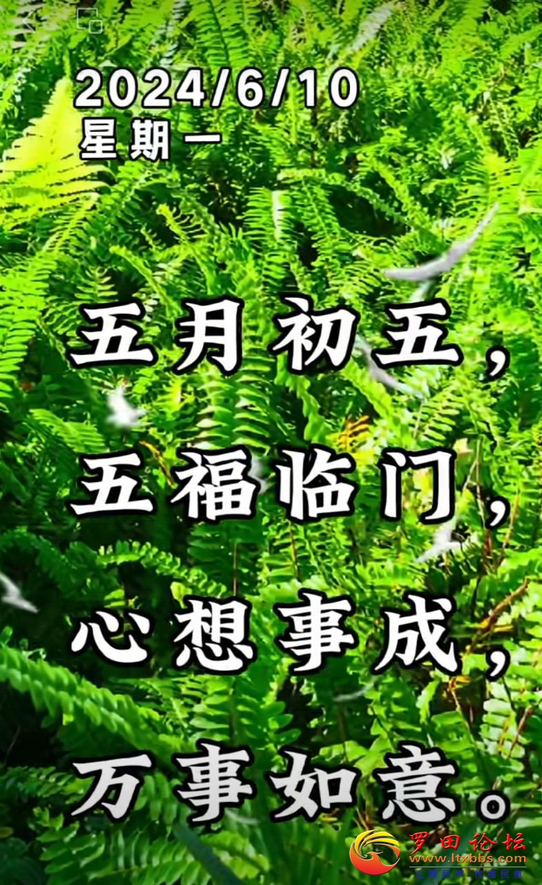 20240610105017front2_0_988_FpdEqoufVq3Da7rQwW2Y3r2tryfT.jpg