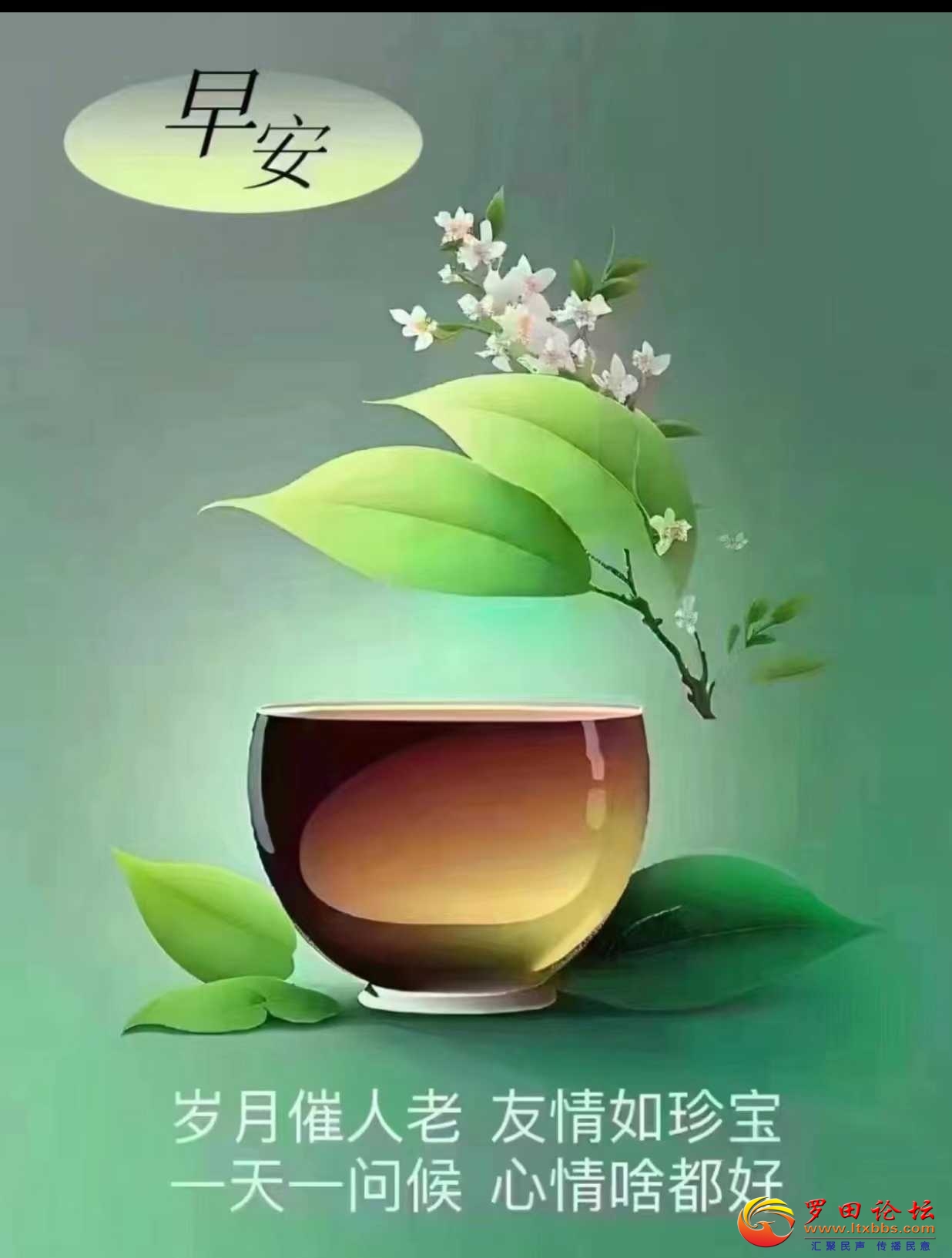 ΢ͼƬ_20240611092126.jpg