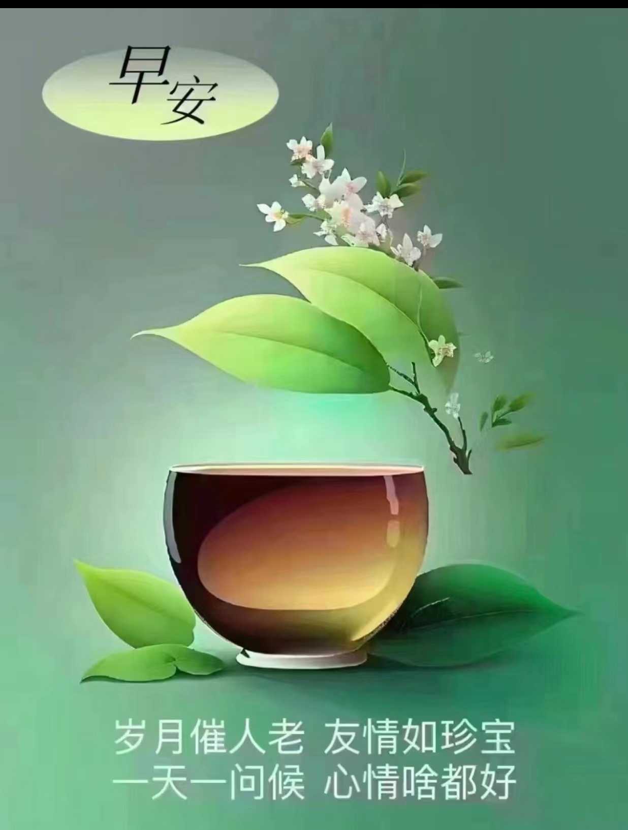 053a2548b2ae4e54e27646819bb1c76.jpg