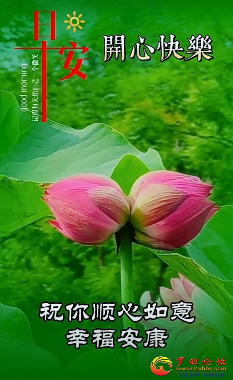 20240626091125front2_0_988_FukeWmg5LCHFhiHY2-eABKwrncoR.jpg