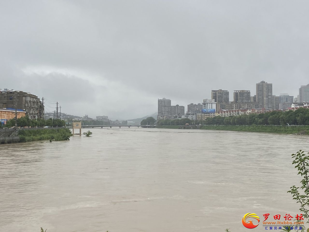 20240629184556front2_0_1160_FqC_QioF1rONB3e9NpwngaI3qssJ.jpg