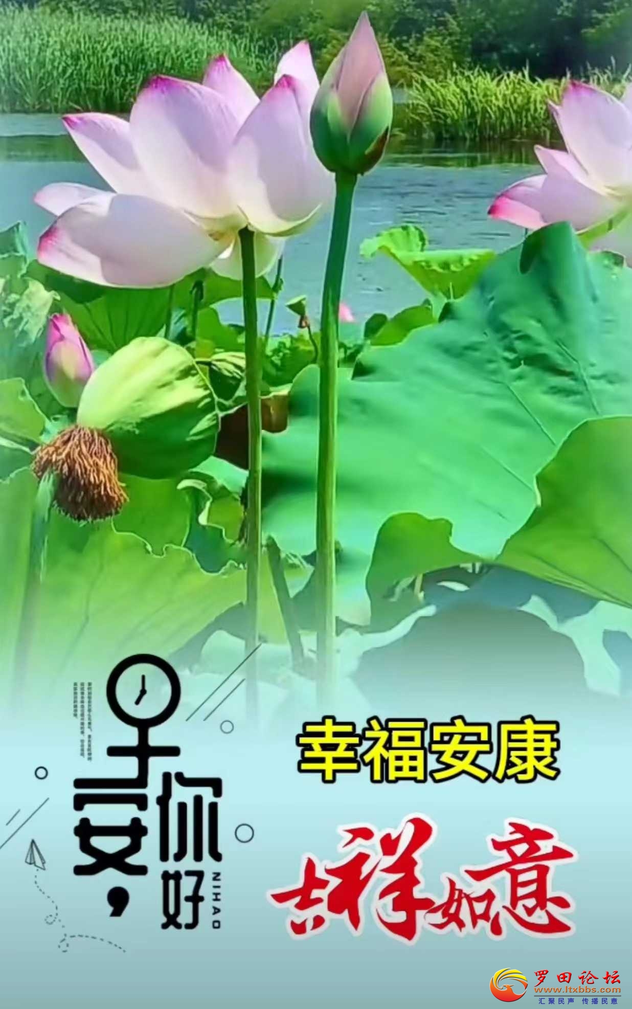 ΢ͼƬ_20240703100903.jpg