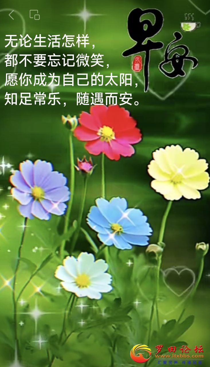 20240707103843front2_0_988_Fh4OoDt1EI6G3HG1z8w8O7vAmP2p.jpg