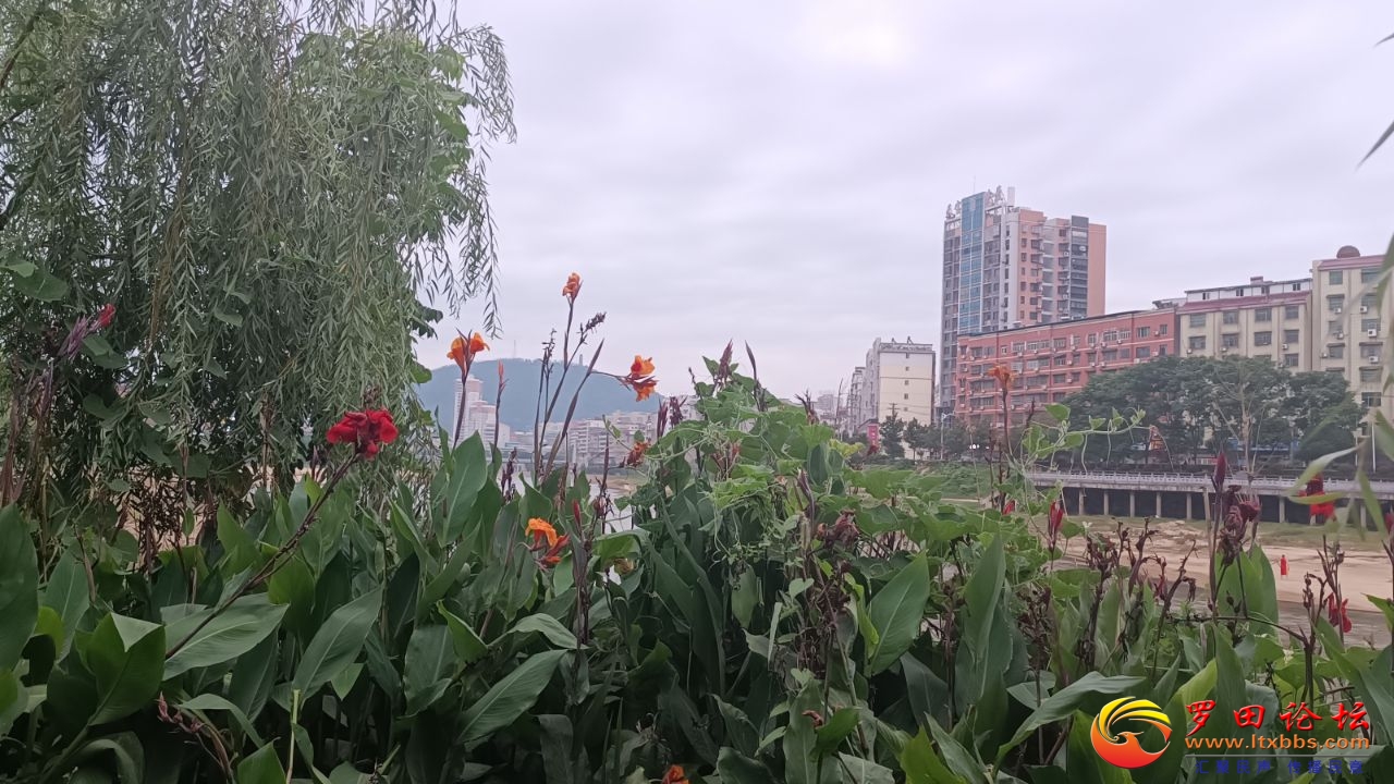 20240711072151front2_0_57696_FuTC0D7NM2vNkrn88NCgpAJVh0Bj.jpg