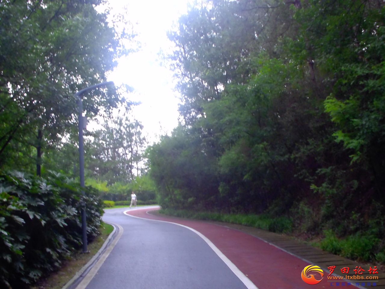 20240712134122front2_0_57696_Fh4Va-Zc5RIK4s15Dv4RVVmM0wXm.jpg