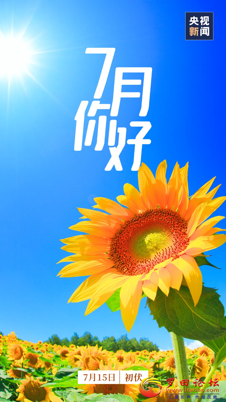 20240715231741front2_0_1160_FnSIxAoJFgyqwHHlYjwEJhDp1Y8q.png