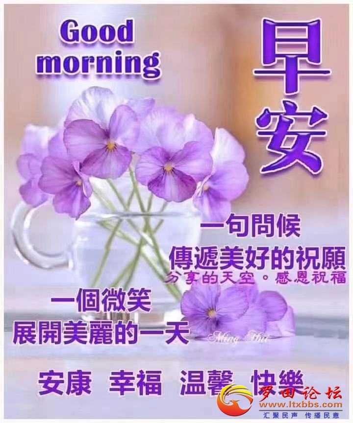 82dae5d83a9533c553468923c167d866_092610qy2dm9u7xku3lmi2.jpg