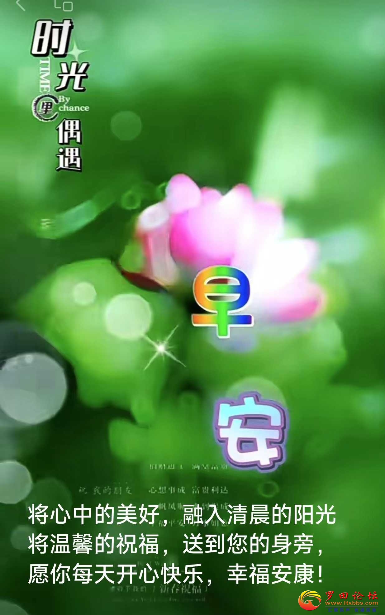 d10618f2fecf6a6efe6c1125f47cb9d.jpg
