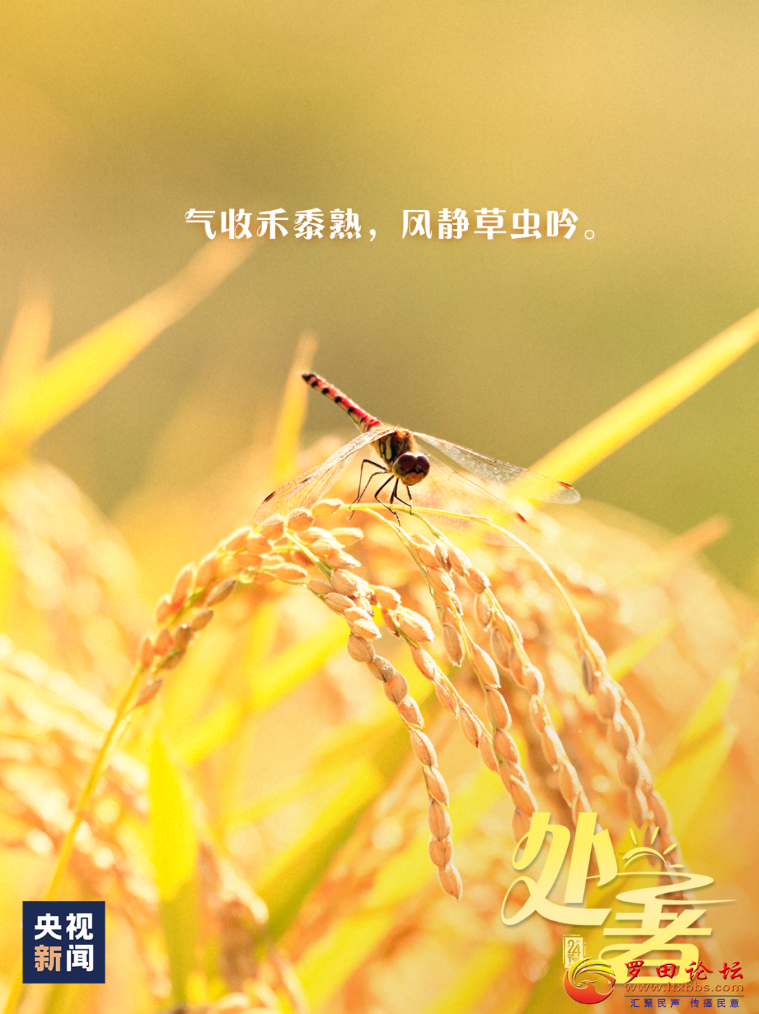 20240822084300front2_0_1160_FhSzYO-R3IYaAwsIKq4jeYXzrmVQ.png