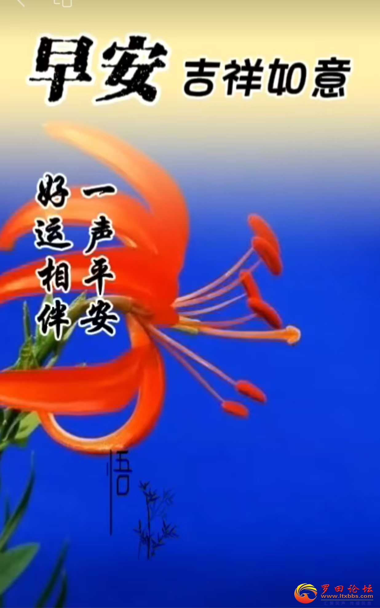 bd0bc96982b63f245c3c9b03fb479df.jpg