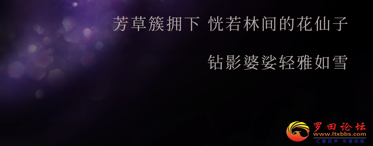 20240826163904front2_0_19516_FoPEWMiLDYSBeI4V6yLPW1Zx_RN1.png