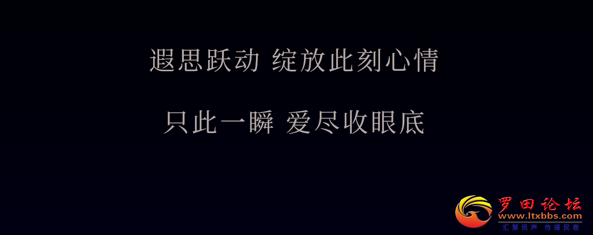 20240826163902front2_0_19516_FgxzafiR5suKg8Blg0agD8fY7NLa.png