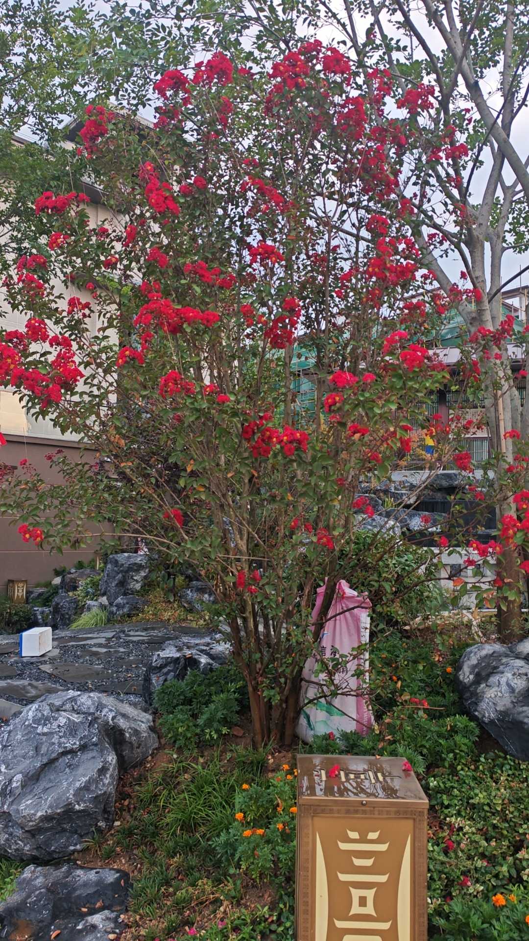 ef5ad342835df31f031e1428db2faf2.jpg
