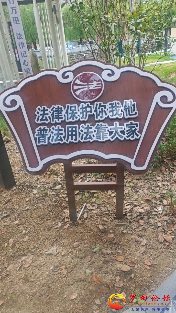 20240829101116front2_0_988_FtudfdCdWl6oUFNkqWlilp_lYZD2.jpg