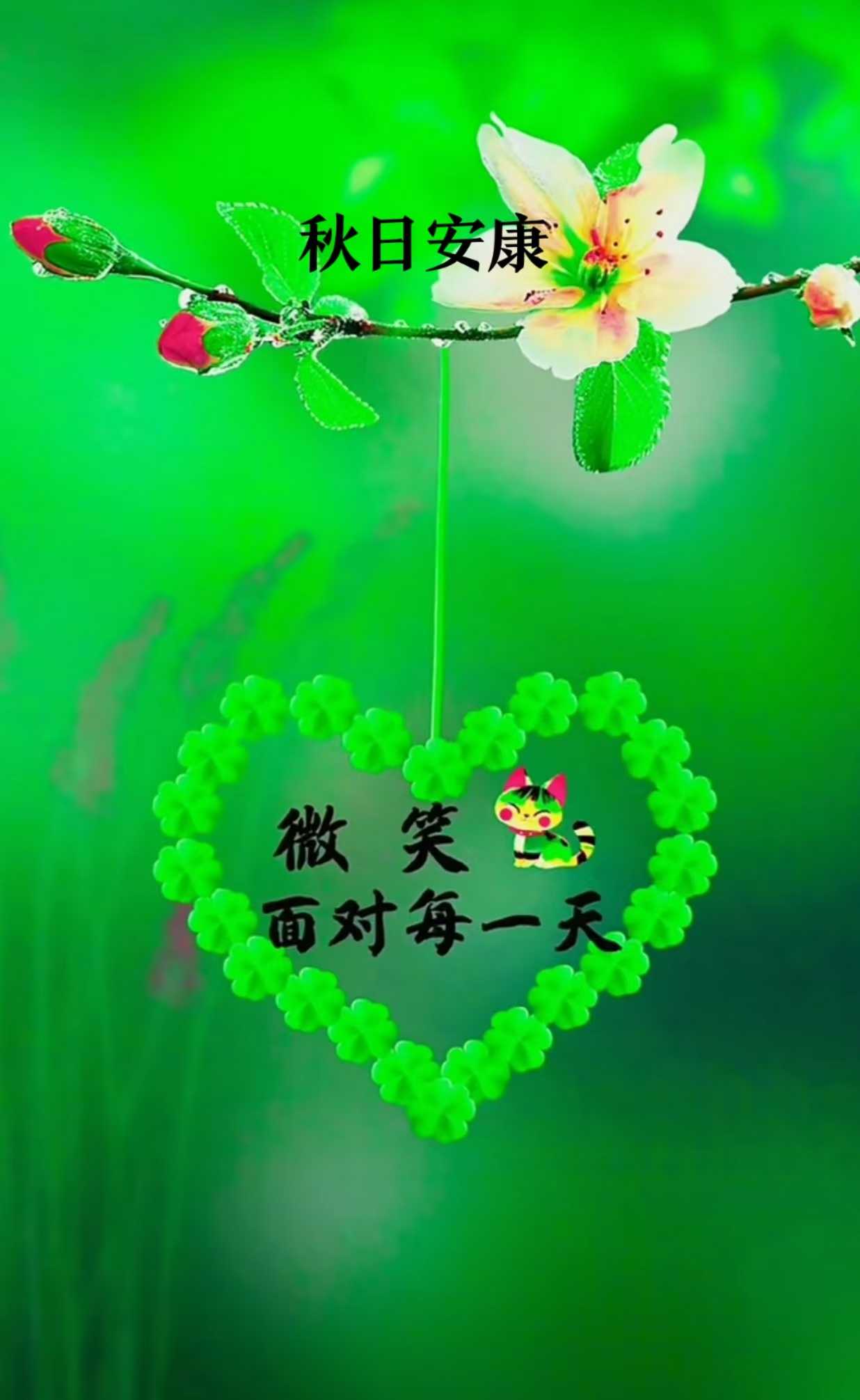 6a2f6b393f63bd19ed86cd9a16dc803.jpg