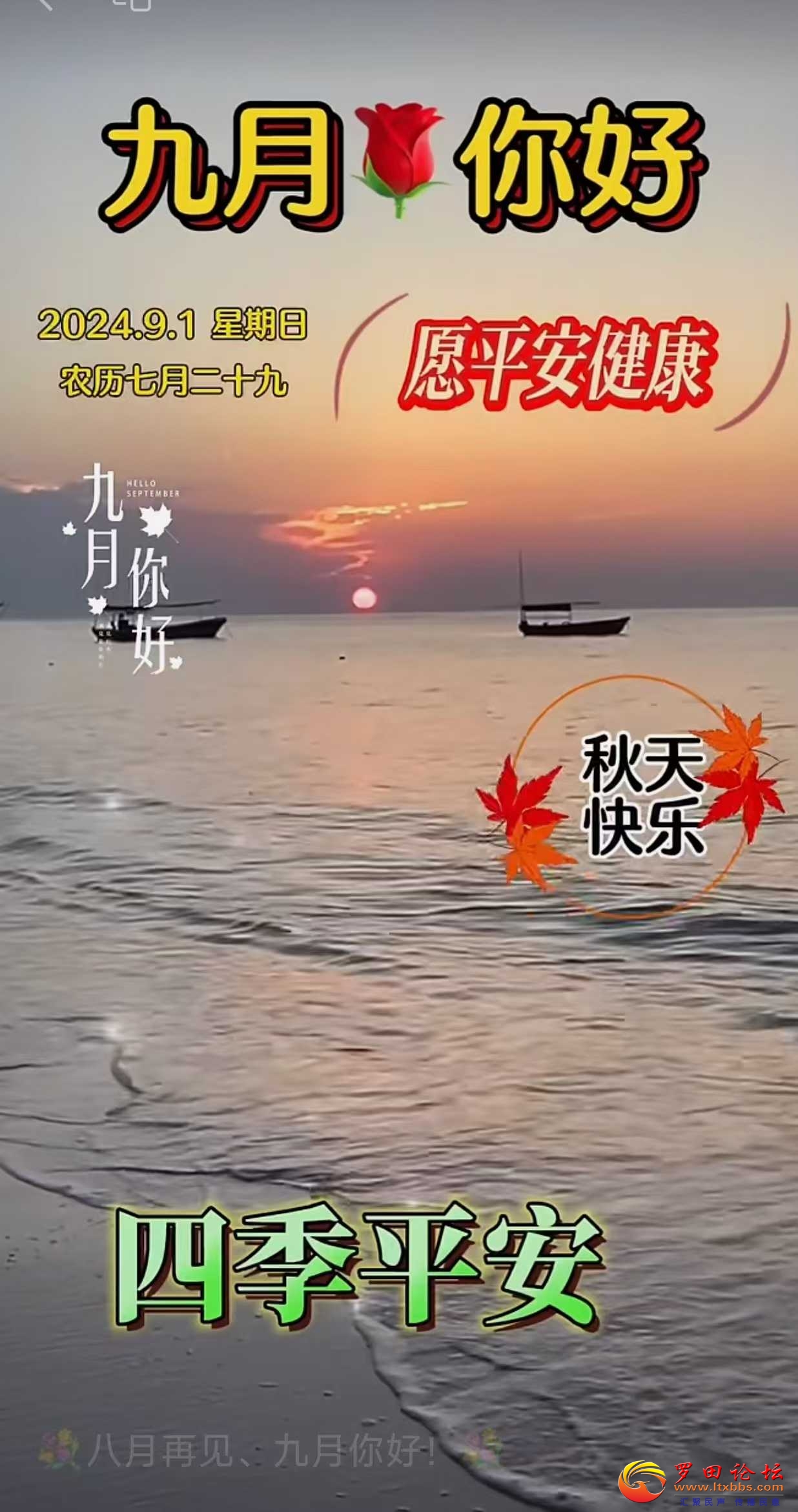 75c966b61ff4a8943ded9bf51e9b83a.jpg