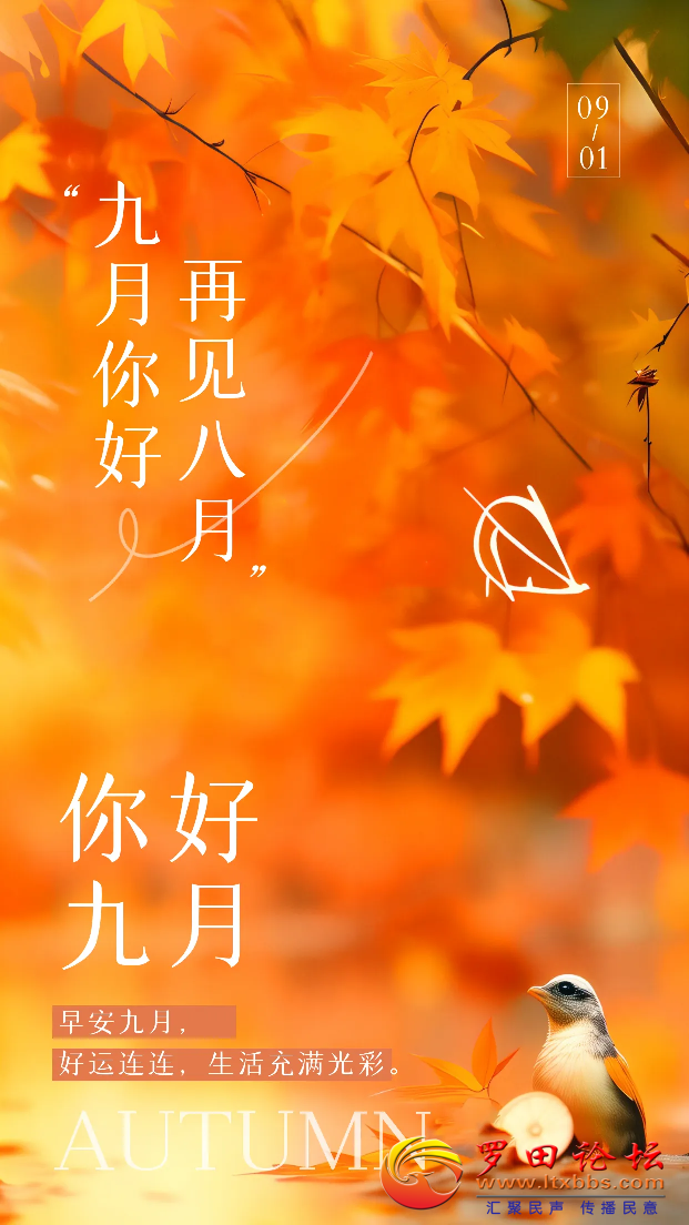20240901155316front2_0_1160_Fuzd0Ky0jLUOQpEGVcFHlehjnXZl.png