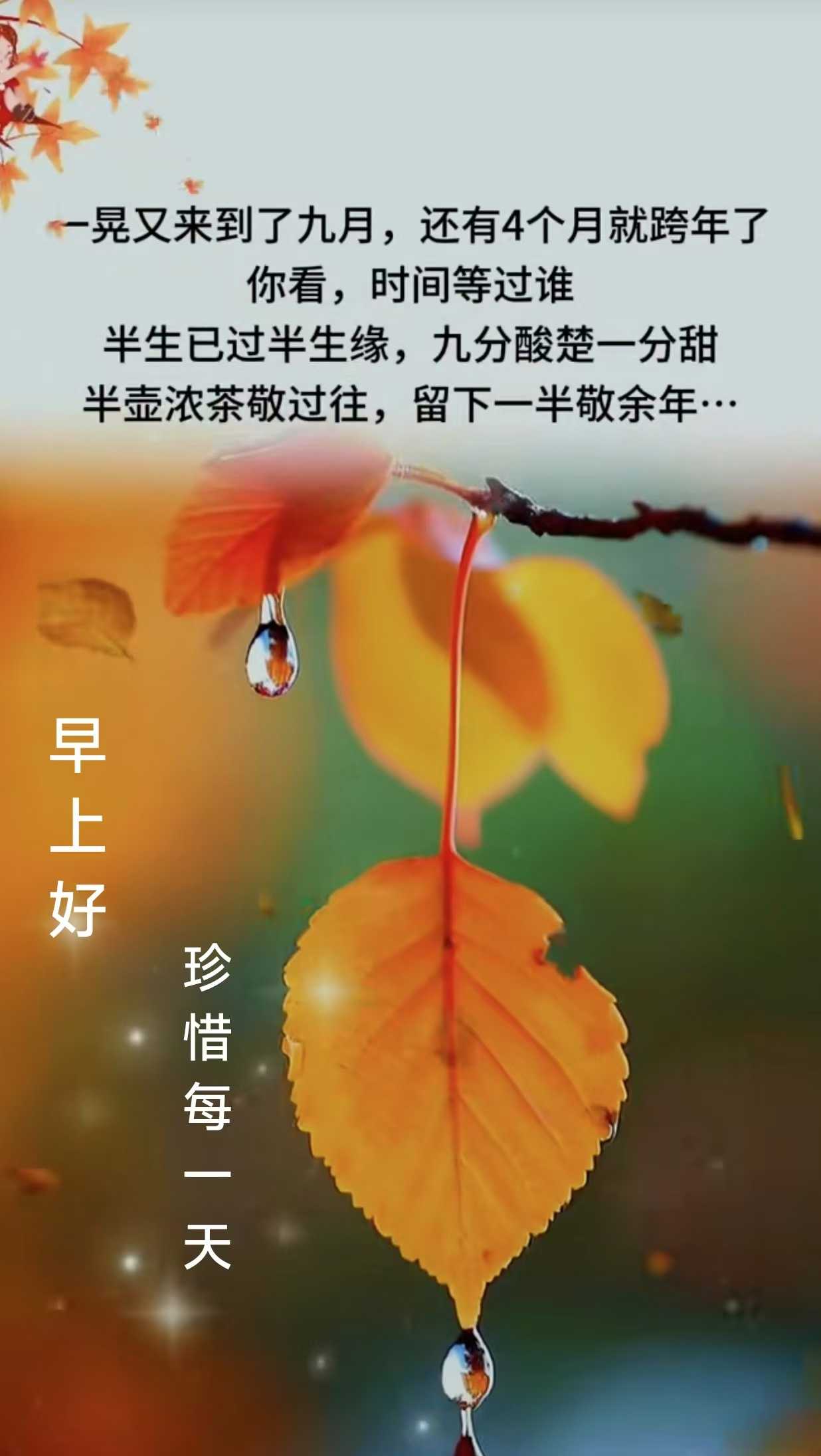 3ef57e9554f3cea94586f8da313a74f.jpg