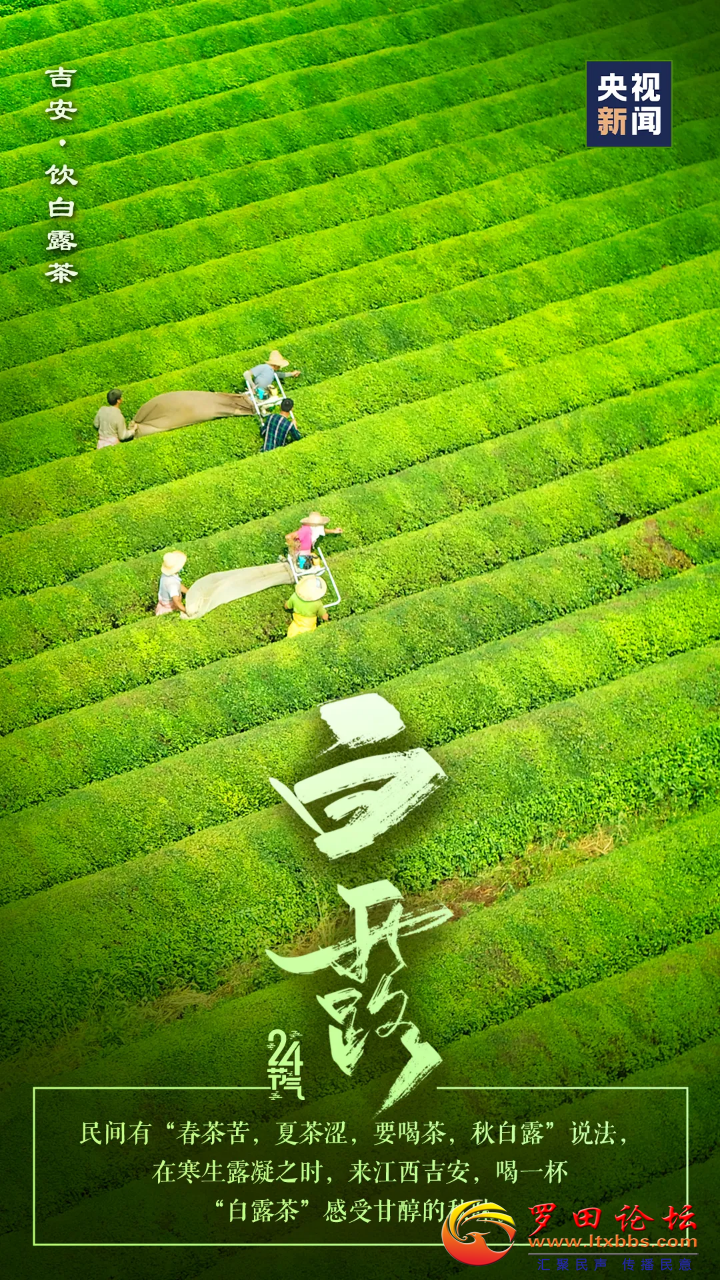 20240907083939front2_0_1160_FrIsma2ygnYtGaO3mbqEFF-Ad9Xc.png