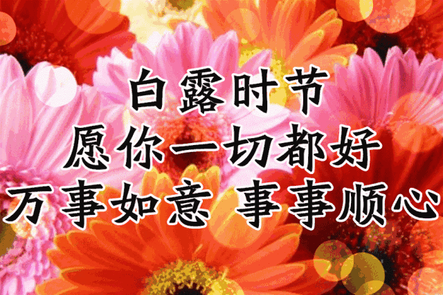 4ce9f098d00441379df2ca3ff000345d.gif
