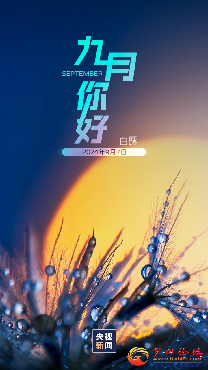 20240907235435front2_0_1160_FlT99Bm_Gqyo6FXHlZFcx4rLYY62.png