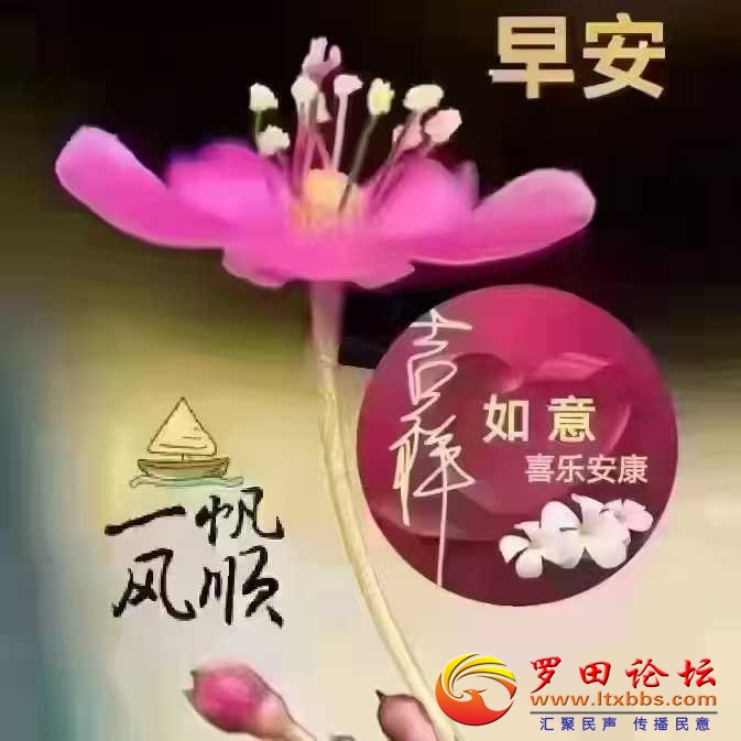 cea6aa2bcc1d29c9ba04bdfd71a9391.jpg