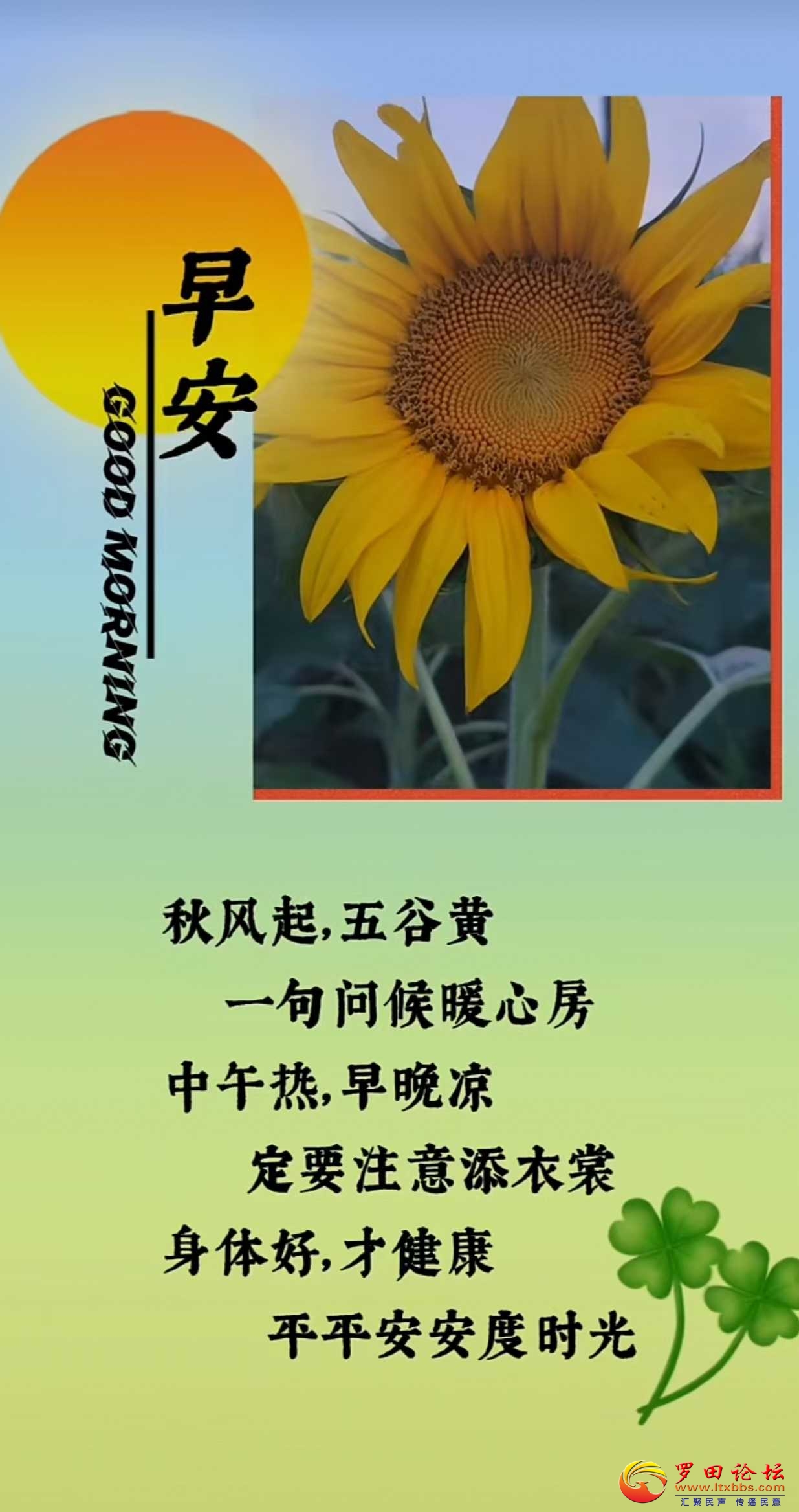 d847f3a8d1ef1b030108e240a6d79c7.jpg