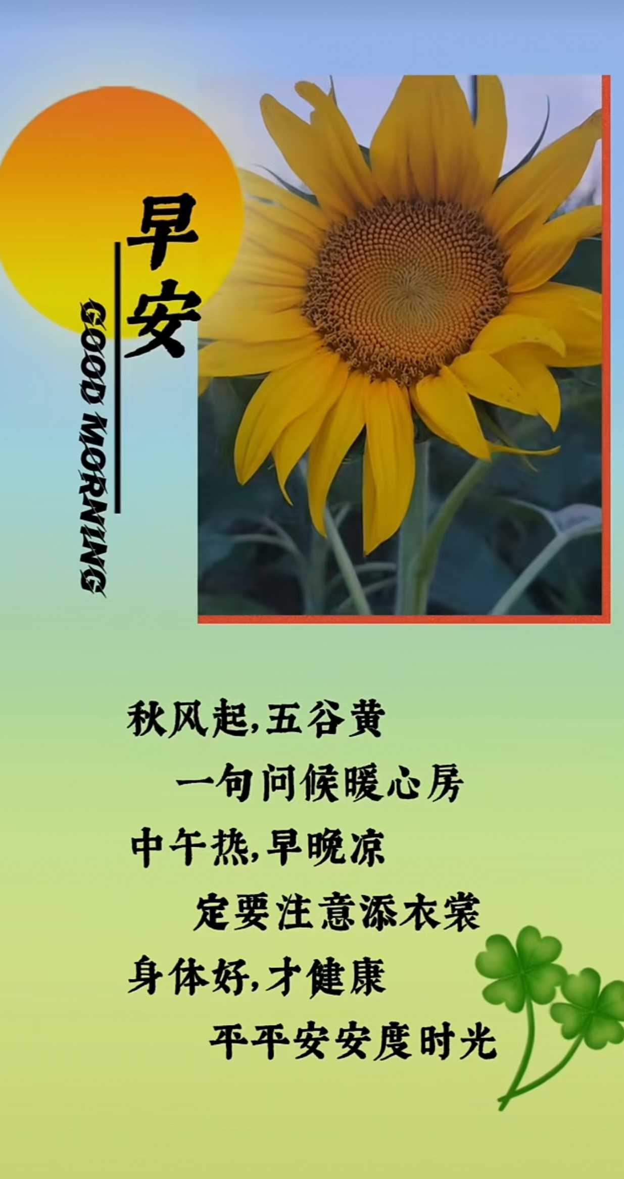 d847f3a8d1ef1b030108e240a6d79c7.jpg