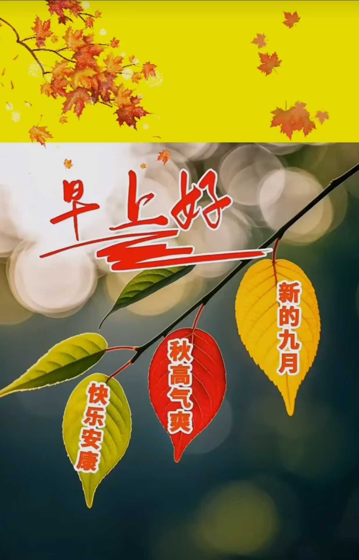 2ff59c4c97d1499640afbe99951952a.jpg