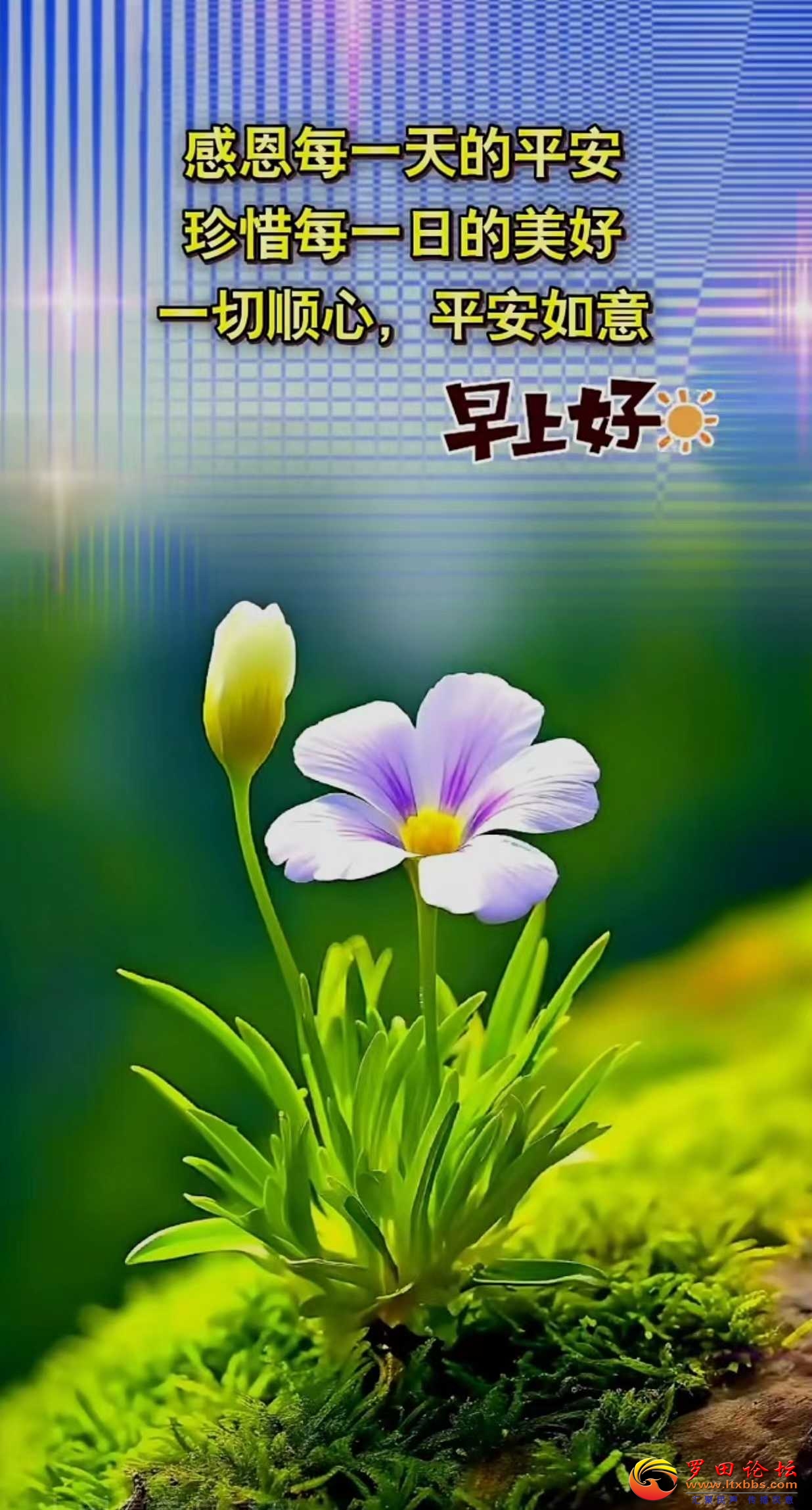 44d6347d28a782e7b82f8232b45311f.jpg