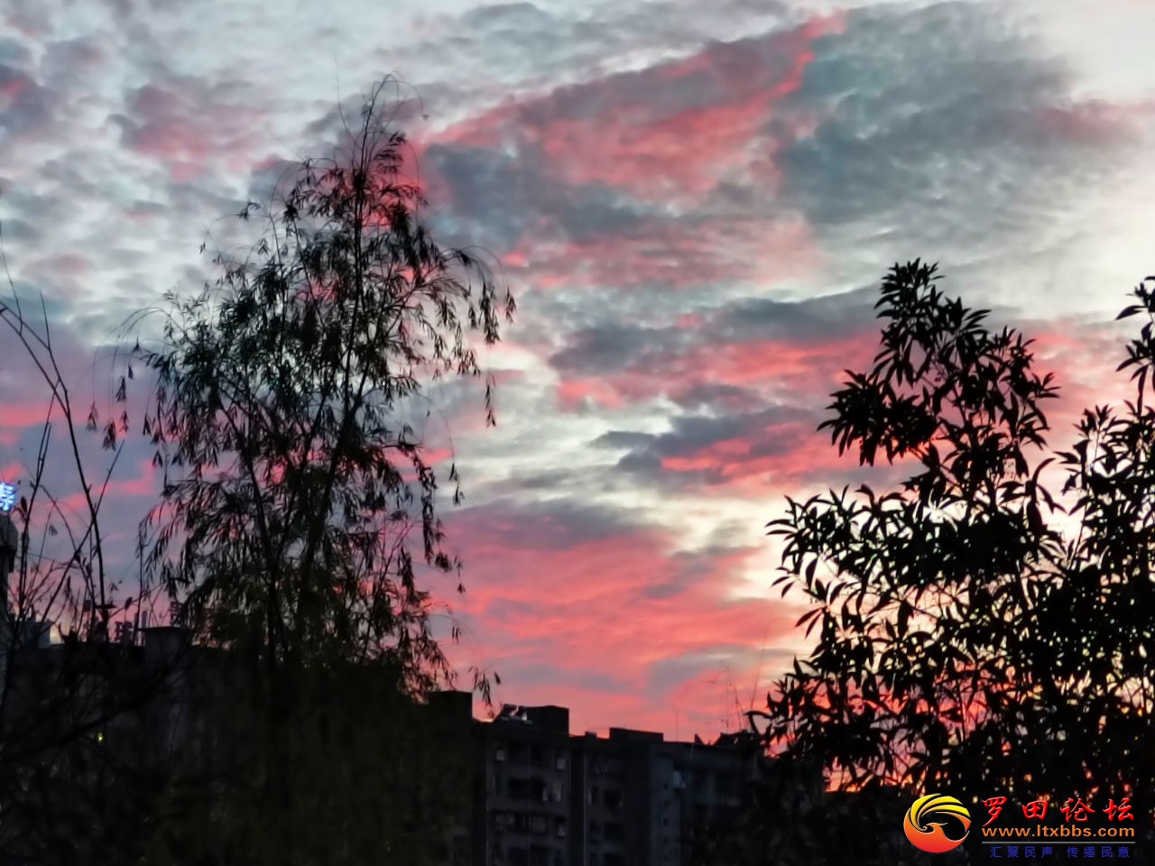 20241003182318front2_0_1160_FlP5q9xMJ2c222F-rqKVPScfX7FQ.jpg