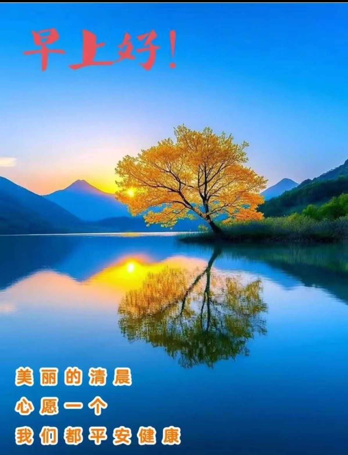 a1cc273c1848578f33ee62c51dee3ed.jpg
