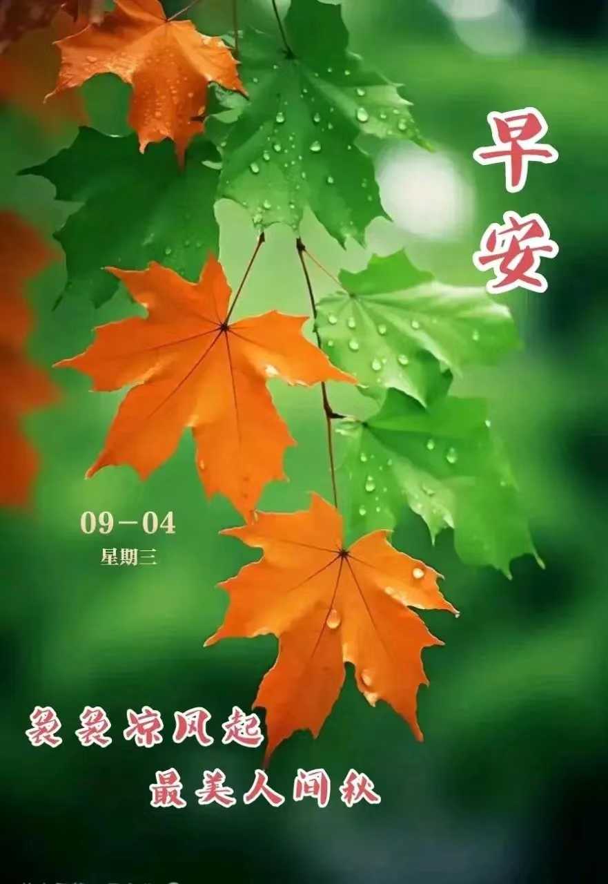 0a679557a9e1124b6d4db3de2e87b29.jpg