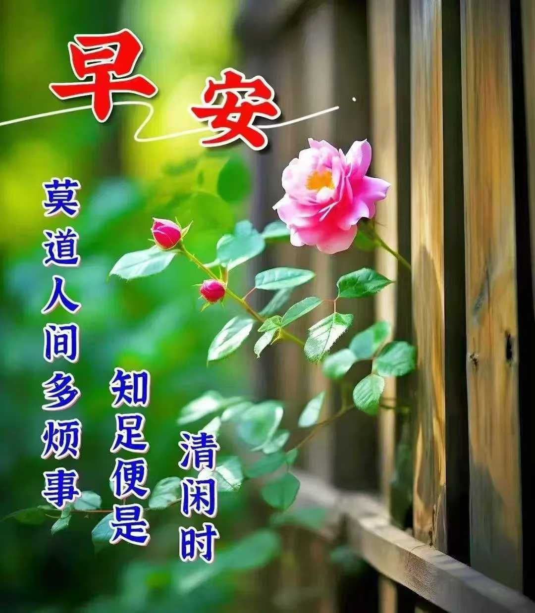 81deb1c4335fce3e14c9fbc214de7b4.jpg