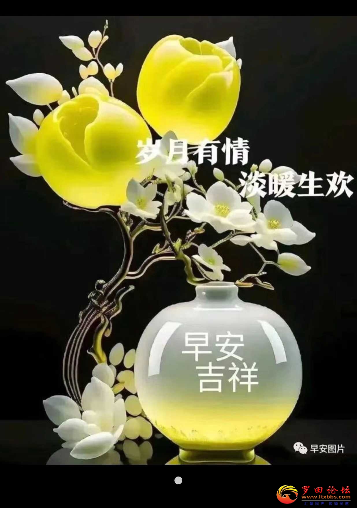 78531908ea83896da361efa818c2fb1.jpg