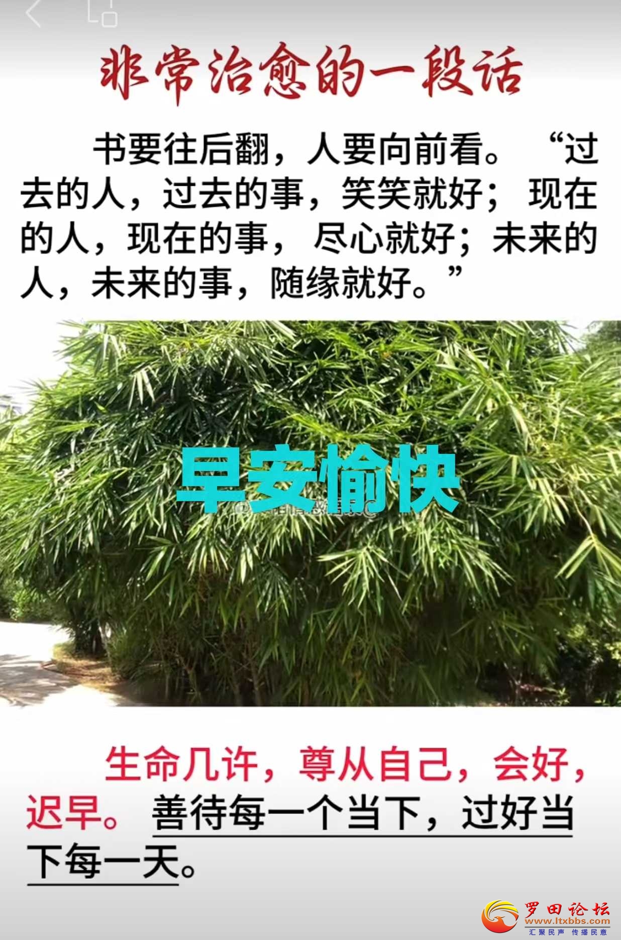 068cf40f6d816e51533dafb9fca2cff.jpg
