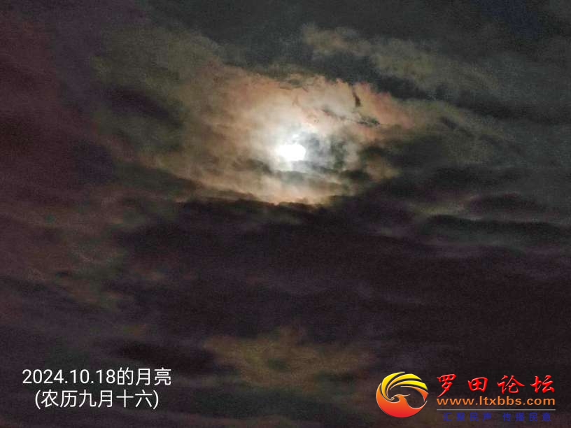 20241018220700front2_0_1160_FoKv82TXw8G_UdHszhYxiIpomIN9.jpg