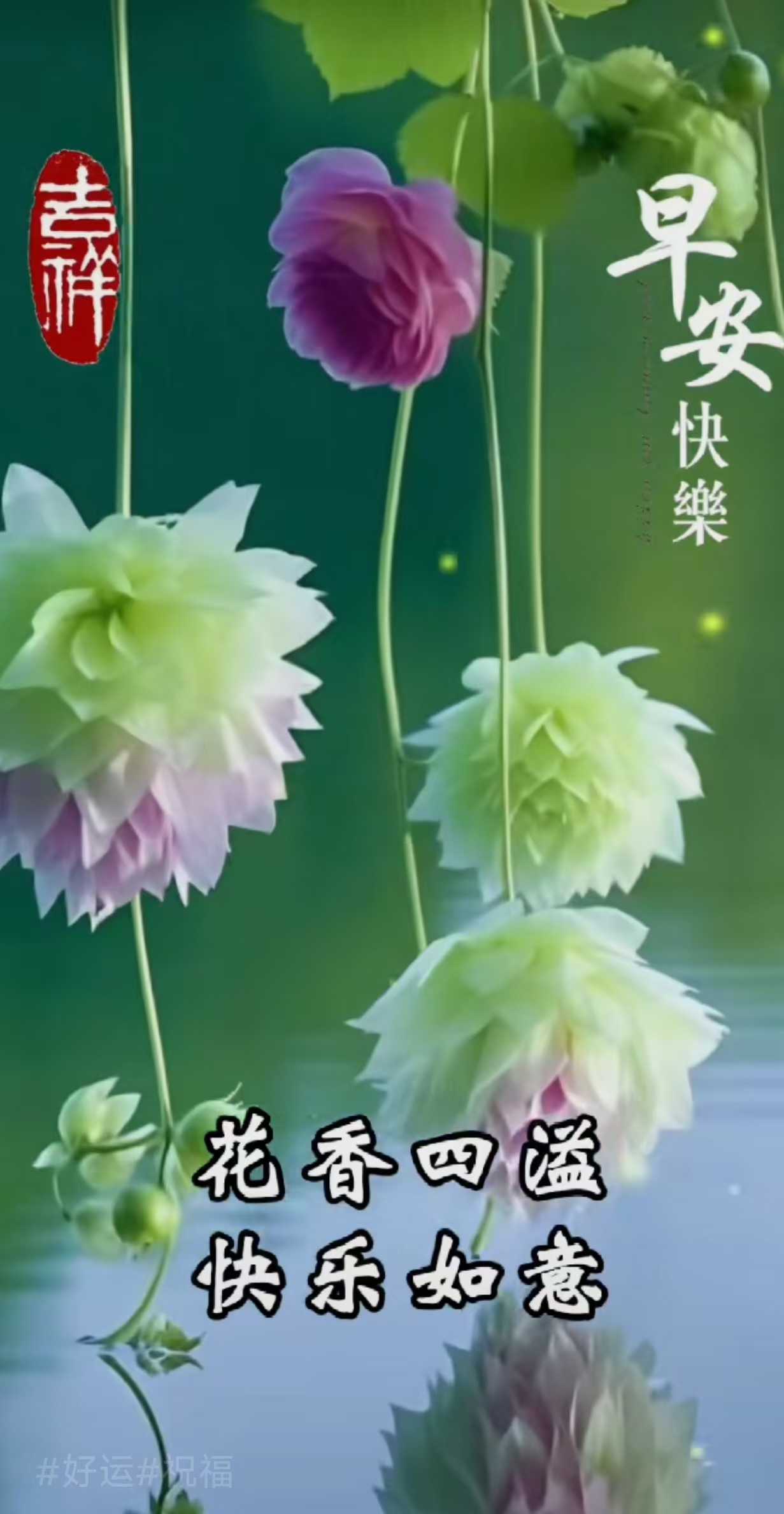1f444492bd9dcb9899a3d72c4850da8.jpg