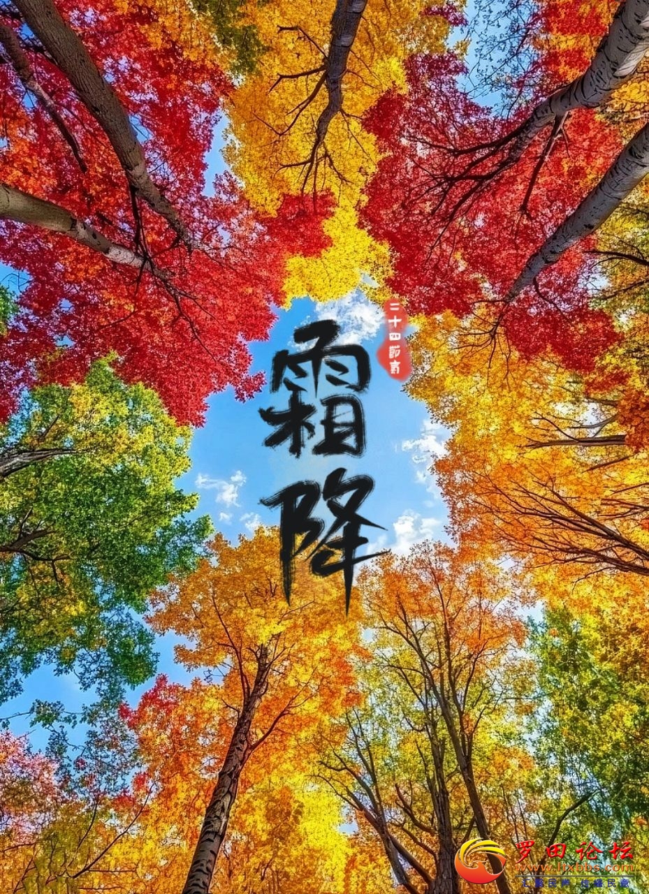 20241023224144front2_0_1160_Fg16Y0orgwegCQ0NY73Ow9xihUCN.jpg