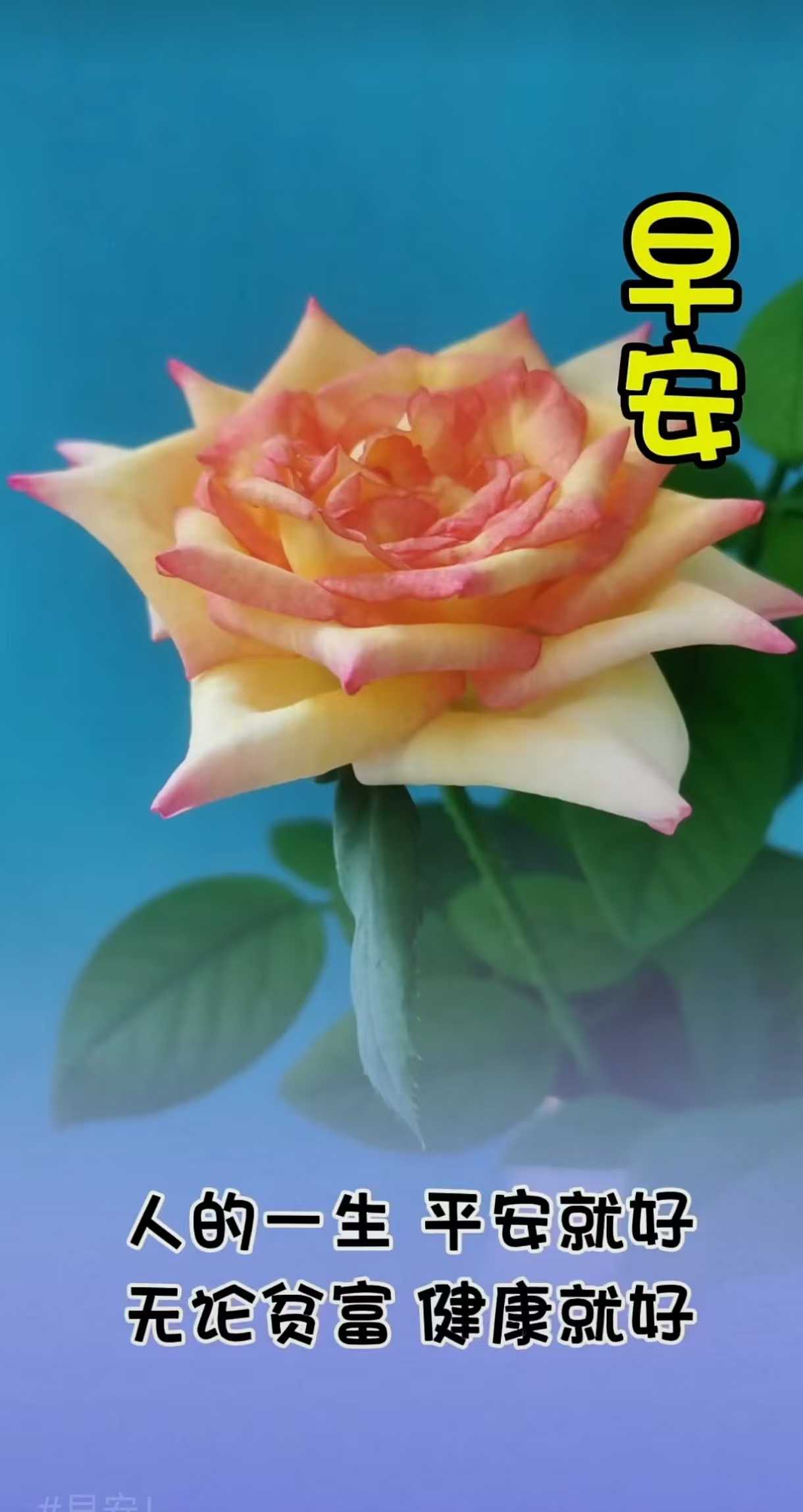 43b5d2ea381bf5c6f59559d33cf8c7c.jpg