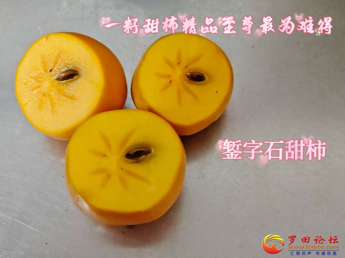 20241027233150front2_0_1160_Fh8W_3N2tUD3V4qQkJi0Jhkg3X3X.jpg