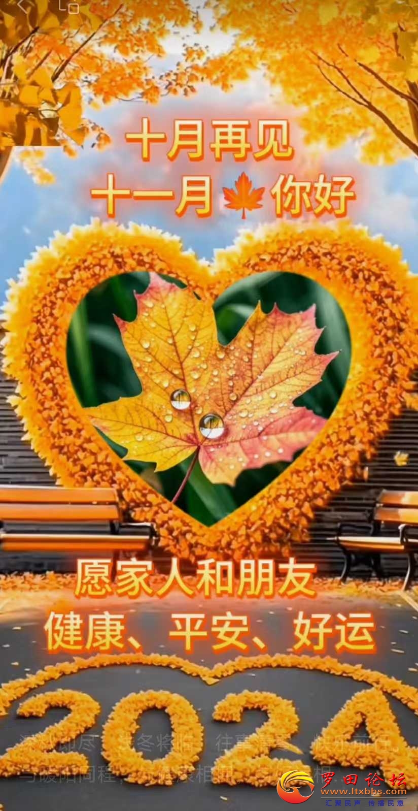 1b059ccbce1693f30dc82b2edbdfbe5.jpg