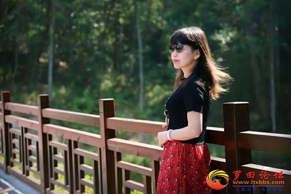 2c8e75d334687d74ca3b66c703b212e7_165804ic8dccflrf3xf7ec.jpg