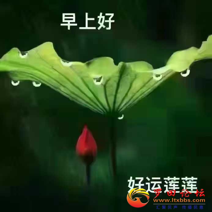 100936if1ul73rly1ynn7p.jpg