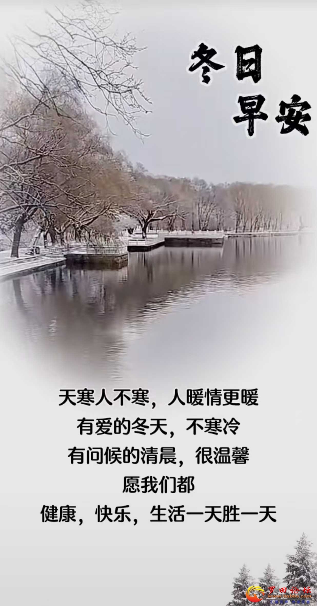 110335br20hxkc82xkfh2k.jpg