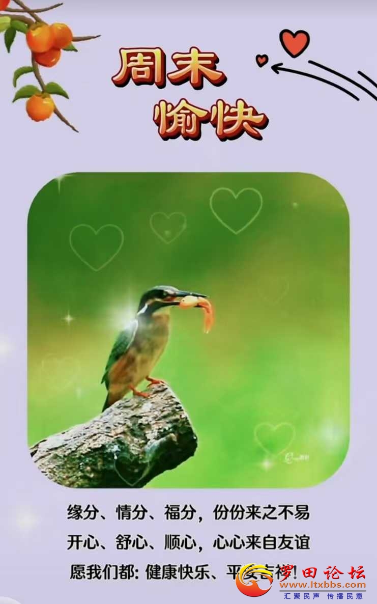 7e0a3b433e1ad66b2cffe9ad977ceb2.jpg
